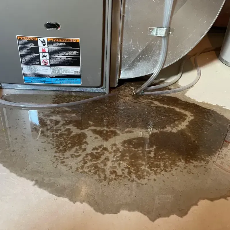 Appliance Leak Cleanup in Wayne, NJ